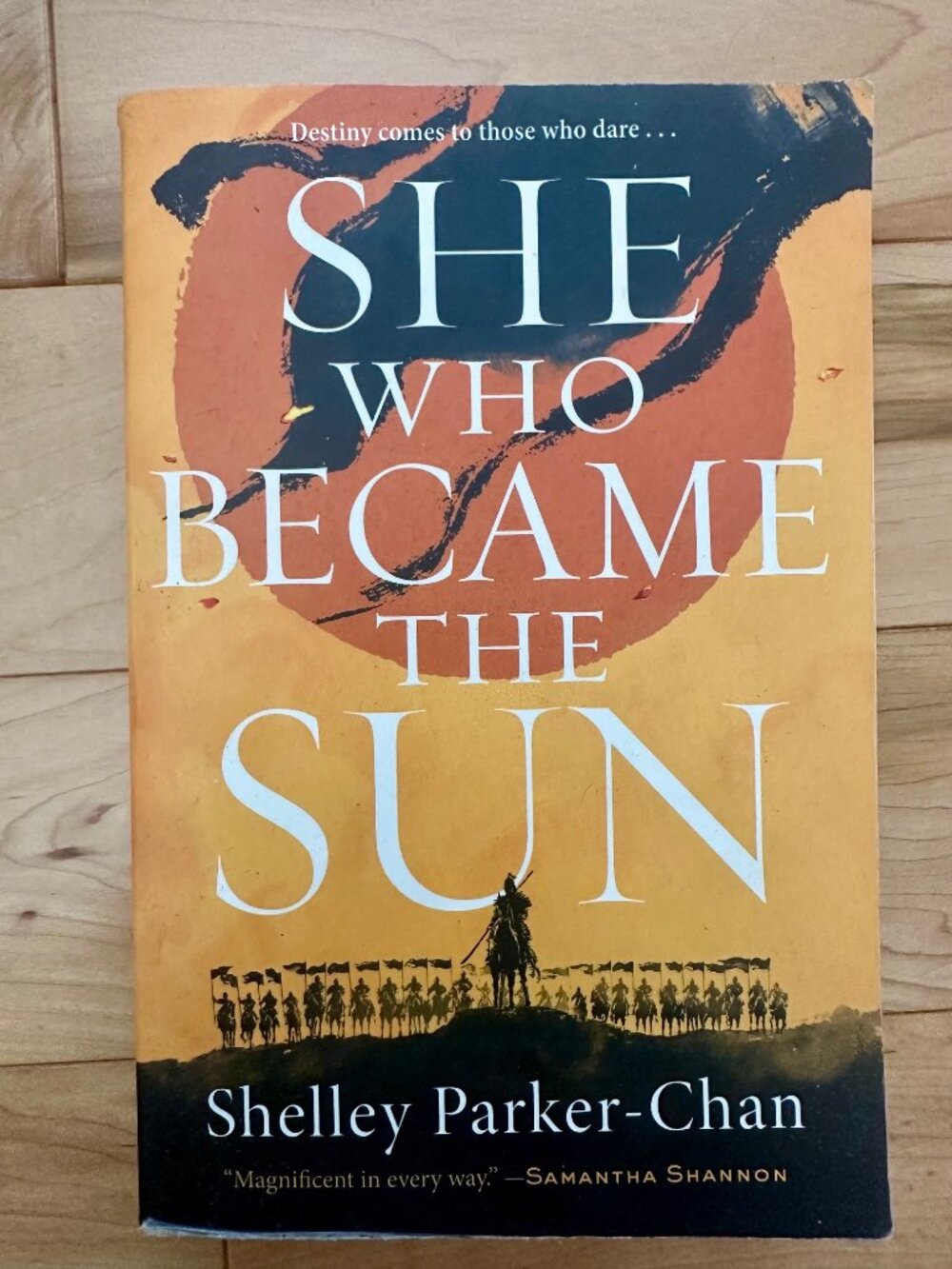 She Who Became the Sun - Shelley Parker-Chan